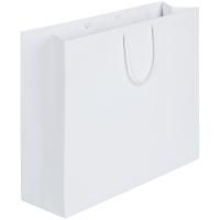 Пакет бумажный Ample Plus L