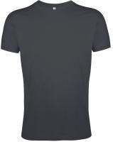 Футболка мужская Regent Fit 150