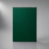 Бизнес - блокнот Альт А4 (198 х 285 мм) Office 60 л., зеленый , размер A4