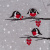 Джемпер Birds and Berries Джемпер Birds and Berries
