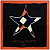 Платок JEAN-LOUIS SCHERRER Star