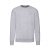 Толстовка мужская без начеса "Lightweight Set-in Sweat", серый, 2XL, 80% х/б 20% полиэстер, 240 г/м2 Толстовка мужская без начеса "Lightweight Set-in Sweat", серый, 2XL, 80% х/б 20% полиэстер, 240 г/м2