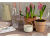 Свеча Valerie Concept с крышкой CNDL 5 PINK, белый/розовый (Р) Свеча Valerie Concept с крышкой CNDL 5 PINK, белый/розовый (Р)
