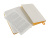 Записная книжка Moleskine Classic (в линейку) в твердой обложке, Pocket (9x14см), оранжевый , размер A6