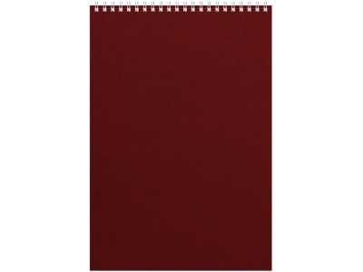 Бизнес - блокнот Альт А4 (198 х 285 мм) Office 60 л., бордовый , размер A4