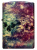Зажигалка ZIPPO Galaxy Skull с покрытием 540 Tumbled Brass, латунь/сталь, разноцветная, 38x13x57 мм